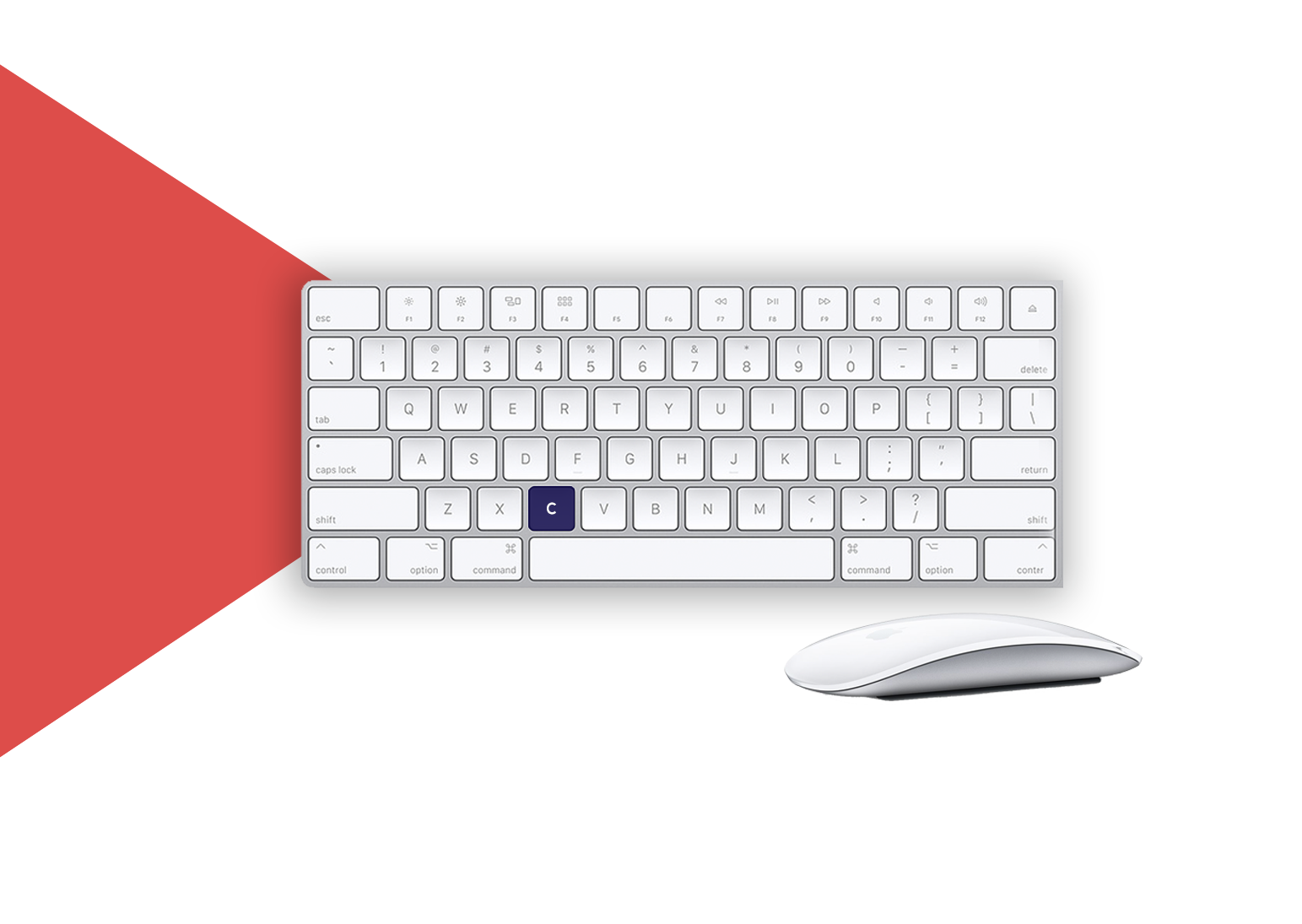 portfolio background image